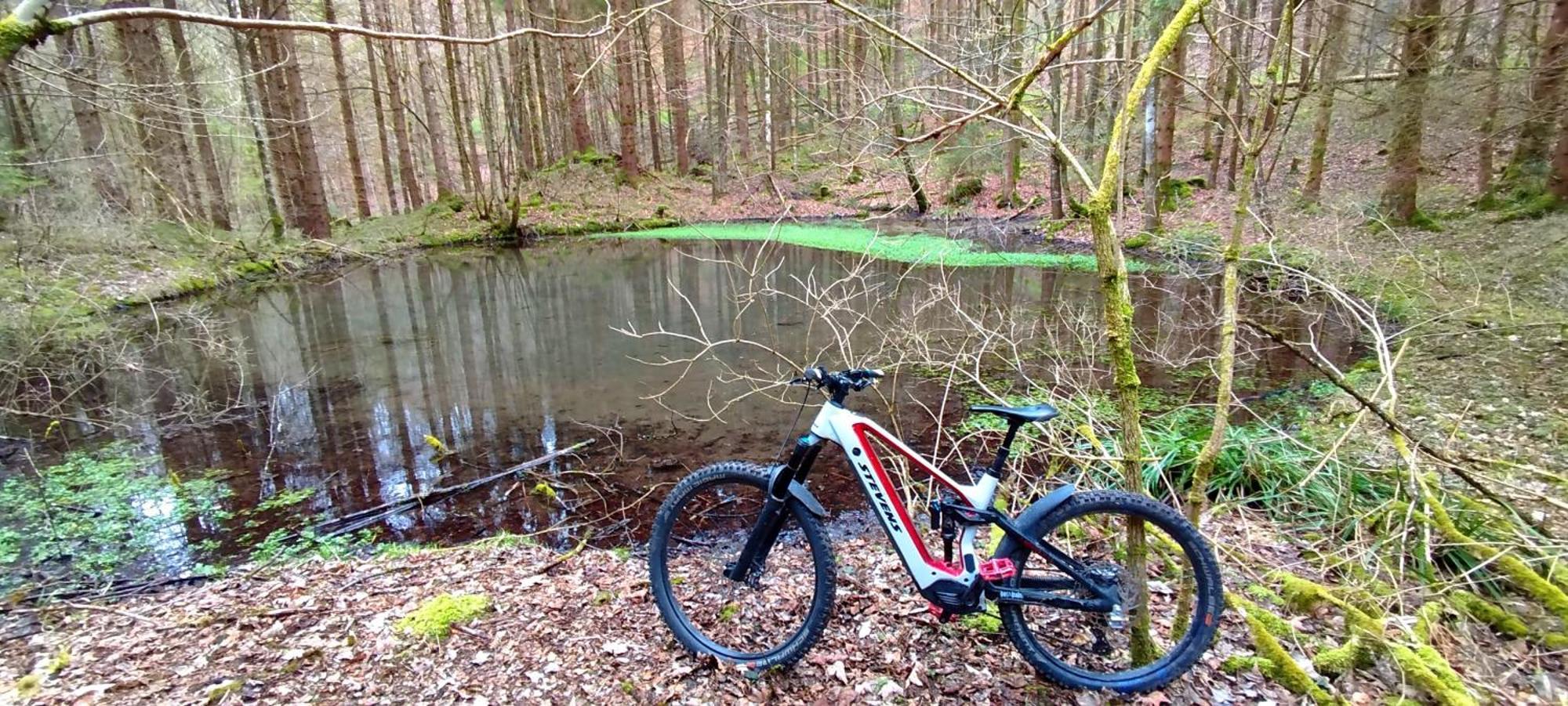 Ferienwohnung Hecht - Biketrail Fun & Relaxing ولفغ المظهر الخارجي الصورة