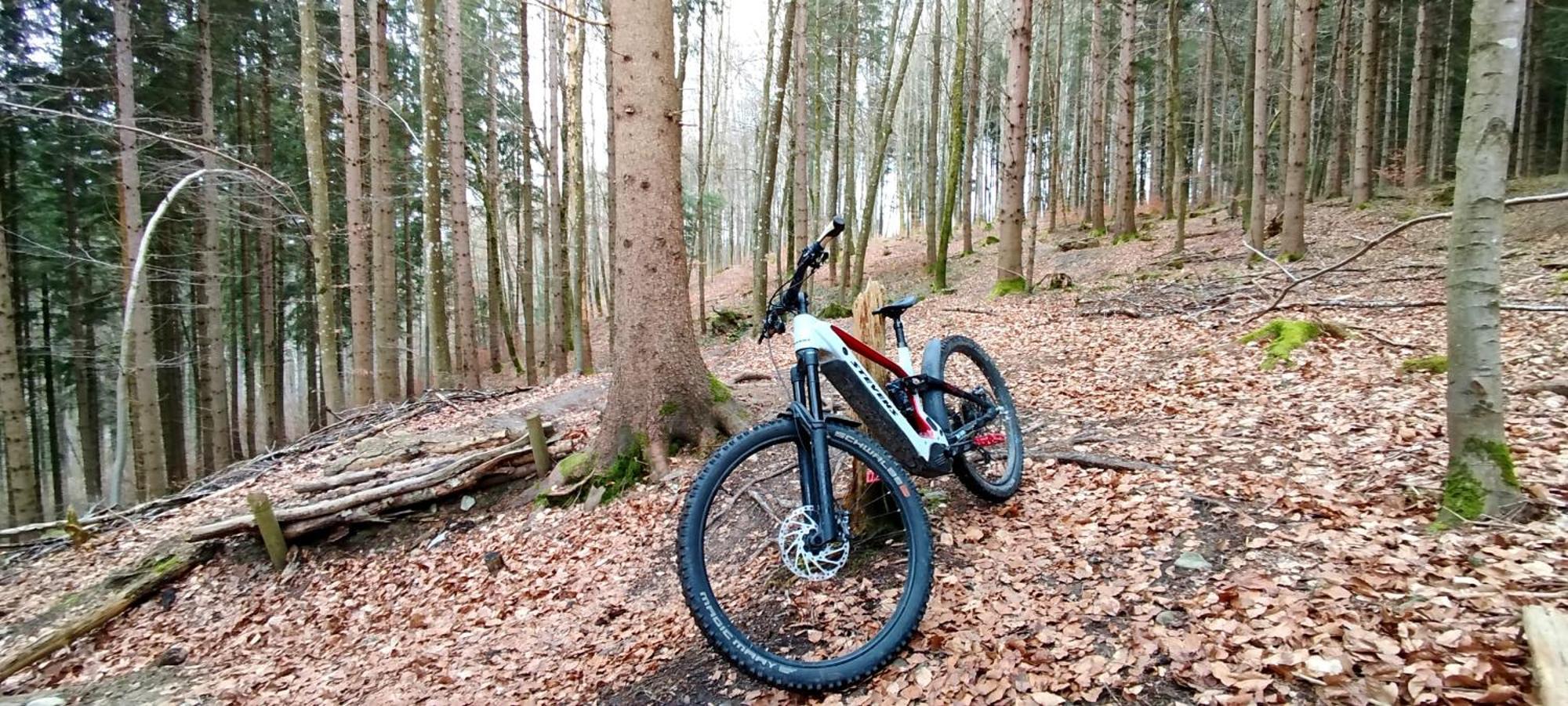 Ferienwohnung Hecht - Biketrail Fun & Relaxing ولفغ المظهر الخارجي الصورة